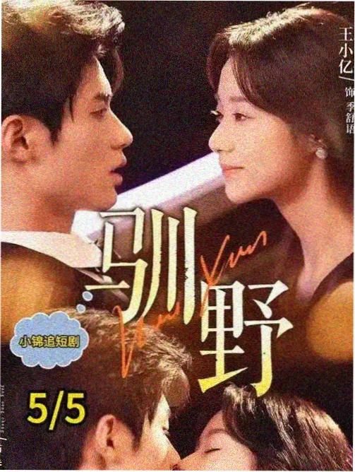 1995版傲慢与偏见缩略图